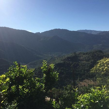 Gite , Maison De Vacances Avec Exterieur Et Terrasse Fleurie Meuble Tourisme 3 Etoiles Villa Santa-Lucia-di-Tallano Buitenkant foto