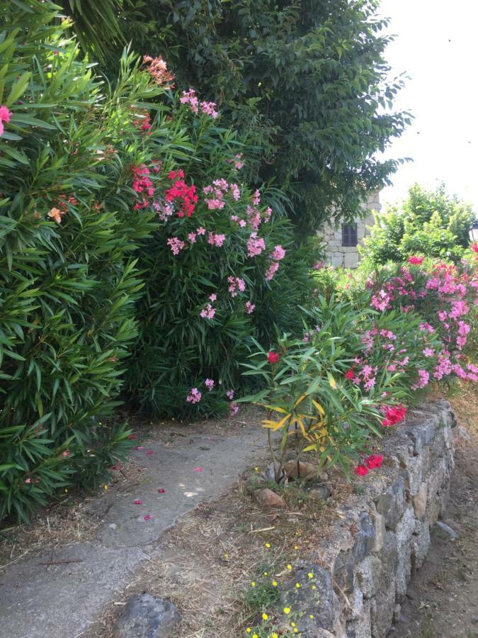 Gite , Maison De Vacances Avec Exterieur Et Terrasse Fleurie Meuble Tourisme 3 Etoiles Villa Santa-Lucia-di-Tallano Buitenkant foto